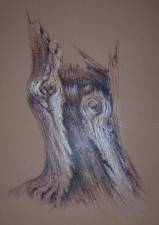  -> kliknij - wi�cej zdj��