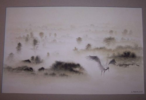  -> kliknij - wi�cej zdj��